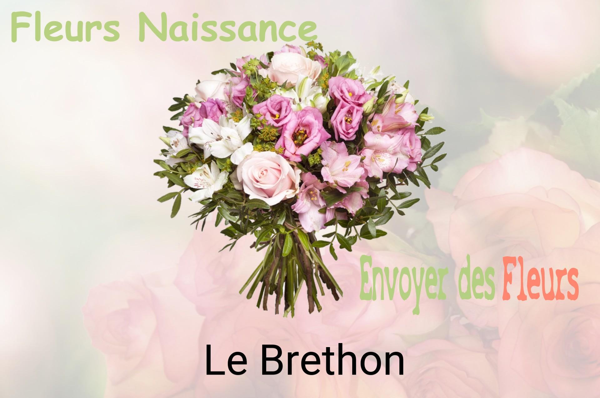 Bouquet de fleurs de naissance livré à Le Brethon